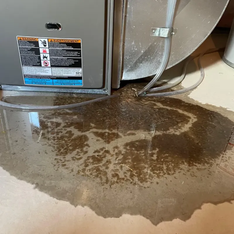 Appliance Leak Cleanup in Eastlake, OH